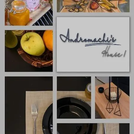 Andromachis House 1 * 沃洛斯